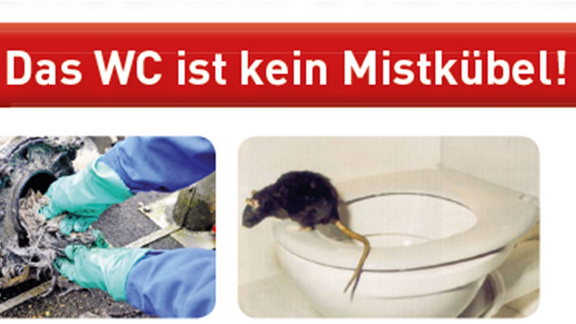 Das WC ist kein Mistkübel